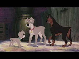 Tramp & Buster Moments (13+)