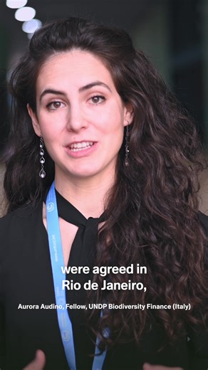 Todo sobre las Convenciones de Río: Clima y Biodiversidad