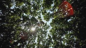 53K views · 97 reactions | Fernando Cucchietti vom Barcelona Supercomputing Center und Team zeigen die Auswirkungen des High Performance Computing für Wissenschaft, Technologie und Gesellschaft. | DER SPIEGEL | Facebook