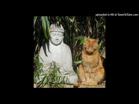 [FREE] Taurs Type Beat "Digital Pain" (prod. Taurs)