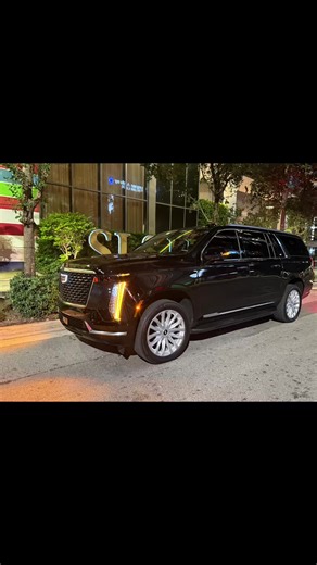 VIP Majestic Limousine