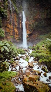 🏝️ Wonderful Indonesia 🇮🇩 The waterfalls in Indonesia never stop amazing me 🥰😍 wanna join for a cooling shower? #eastjava #shotoniphone #tumpaksewu #waterfall #bestwaterfall #java #malang #exploremalang #wonderfulindonesia #exploring #outdooradventures #visitmalang #indonesia #javaindonesia #indonesiaparadise #adventure #voyaged #beautifuldestinations #bestvacations #trends #trendyreel #indonesian | Michaelacarrot