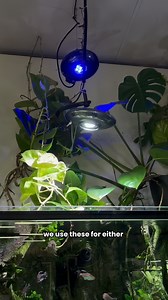 The future of freshwater lighting is here 💧✨ Watch as Mattia shows what the Zetlight UFO Max can do for your planted tank! 🌿💡 @zetlightgroup #aquarium #tropicalfish #aquariumhobby #fishkeeping #aquariumsofinstagram #tropicalfishtank #tropicalaquariumfish #keepingfish #aquariumhobbyist #aquotix #aquotixaquariums #freshwateraquarium | Aquotix Aquariums