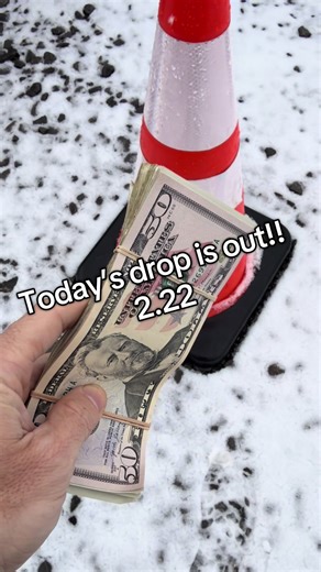 Adopt Don't Shop: Cash Giveaway in Rochester