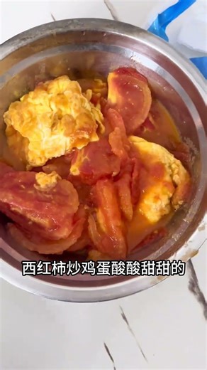 Family Life in Real Time: Daily Moments Captured