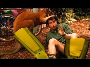 Zoboomafoo S01E30 Jumpers; featuring kangaroos, rabbits, caracals, and more!