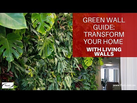 Green Wall Guide: Transform Your Home with Living Walls