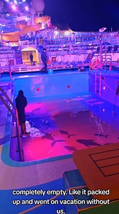 This almost made me stop using cruise ship pools—almost. I thought cruise ship pools were nasty… then I saw this. #carnivalcruise #carnivalradiance #cruisetips #cruisehacks #cruisetipsandtricks | Meet Me On Lido Deck