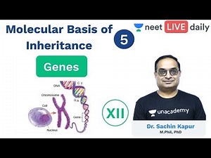 Molecular Basis of Inheritance - L 5 | Genes | Unacademy NEET | LIVE DAILY | Biology | Sachin Sir