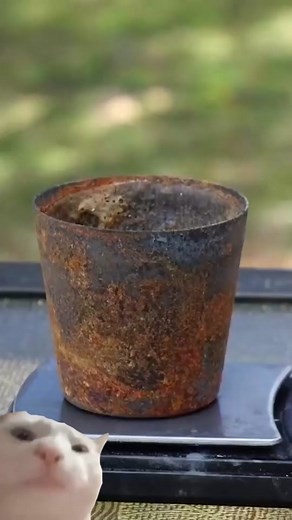 Scientific_CaT on TikTok