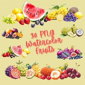 Watercolor Fruit Clipart, Tropical Fruit Illustrations, Colorful Fruit PNG Files, PNG, Fruit Clipart for Planners, Fruit Clipart for Logos - Etsy Australia