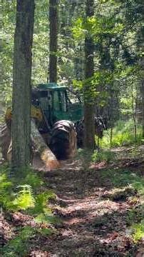Skidding Red Maple Logs with the Timberjack 460 – Forksville PA
