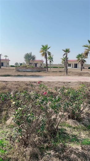 ACTION TEAM (@actionteamofficial1)’s videos with original sound - ACTION TEAM