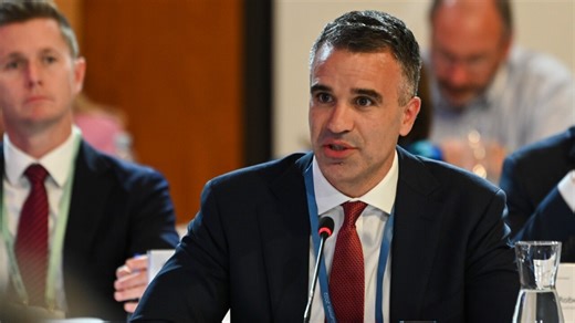 ‘Eradicates diversity’: SA Parliament using ‘gender neutral’ language