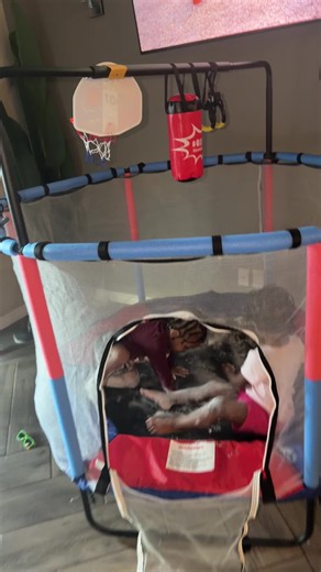 😭😭😭😭😭 #help #kids #momsoftiktok | toddler mom