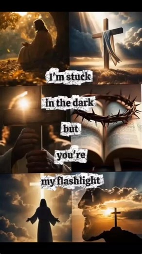 my flashlight #highlight