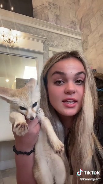 #answer to @thetikihut_ do fennec foxes make good pets? #fyp #fy #animal #animals #cute #like #follow #ReTokforNature #PostitAffirmations #cute #exotic