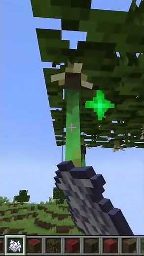 Minecraft Mangrove And Propagules In 1.19