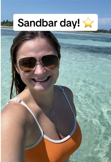 Discovering Sea Stars at the Florida Keys Sandbar