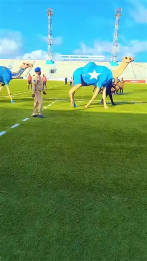 ‏Xuska 26-ka June🇸🇴