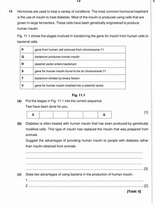 Question 11: Genetic Engineering of Insulin Production(a) Put... | Filo
