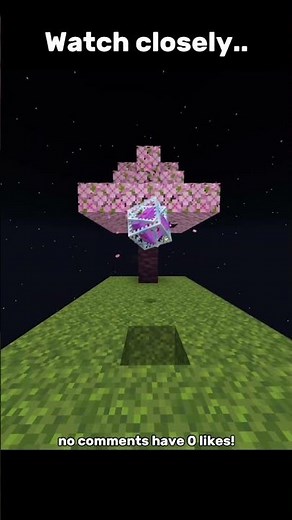 This is the best Minecraft loop!