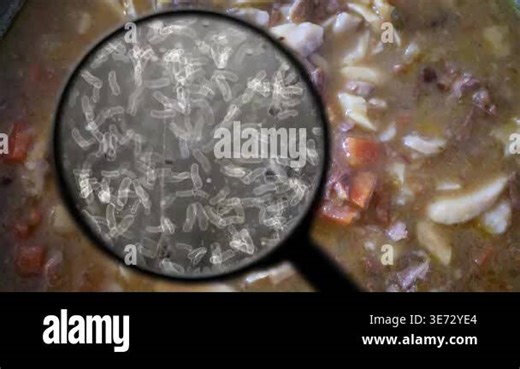 Magnified Bacteria in Soup Showing Food Contamination and Germs Under Magnifying Glass Stock Video Footage - Alamy