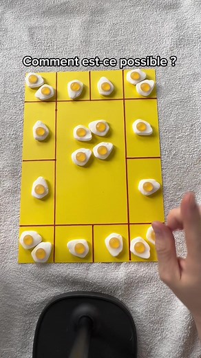 Un mystère d'œufs à résoudre ! 🤯