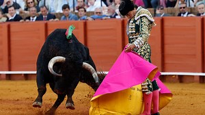 Cuatro verónicas no bastan