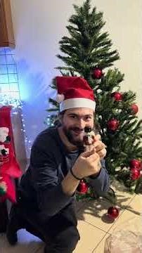 Στολίζουμε το Χριστουγεννιάτικο δέντρο μαζί με τη γάτα