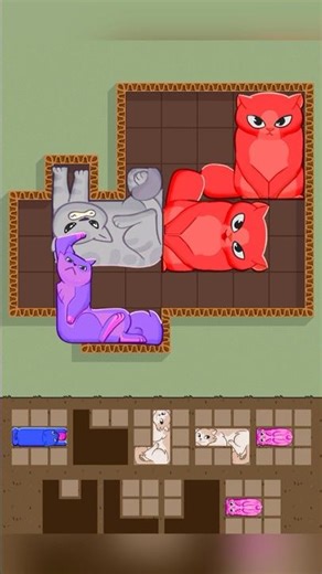 Puzzle cats Moments #shorts #youtubeshorts #youtube