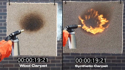 19K views · 243 reactions |  Wool vs Synthetic – Flammability Test...