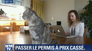 Découvrez Ornikar, l'auto-école en ligne qui révolutionne le permis. « C'est 10 fois moins cher que le tarif moyen en auto-école ! » | Ornikar