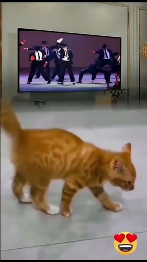 Cat Follows Michael Jackson's Dance Moves!