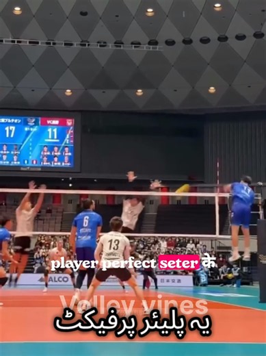 Best Volleyball Setter: Top Skills and Why They Matter