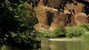 26 reactions · 37 shares | Road Trip to the Land of Let' er Buck!...