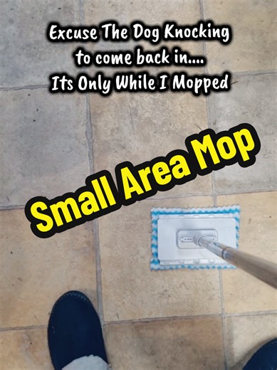 Small Area Mop, for spring cleaning refreshes and everyday touch-ups, this compact mini mop is designed for quick clean-ups in small spaces and hard-to-reach areas around your home. Its slim, lightweight design makes it easy to guide into corners, along edges, and behind furniture or appliances where dust and small spills can build up over time. A simple, budget-friendly cleaning tool for keeping your space feeling fresh during seasonal resets. This small cleaning mop features a flat mop head th