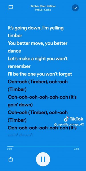 Timber Song Lyrics Version