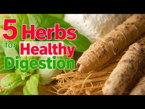 “5 Herbal Solutions for Stomach Comfort and Better Digestion”