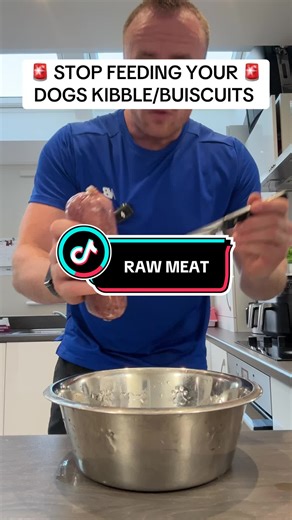 Raw Meat Diet for Dogs: Benefits and Tips