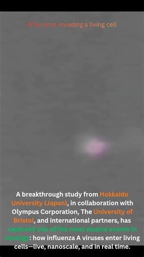 A New Microscope Shows How Flu Viruses Invade Living Cells—In Real Time #expansionmicroscopy