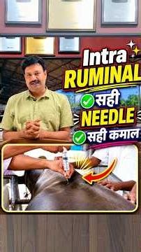 The Right Intra-Ruminal Needle for the Best Results 👉🏻 Intra Ruminal Needle