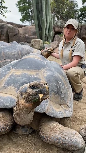 Ask Your Wildlife Questions and Learn with Us!