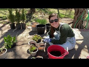 Do Stackable Dollar Tree Planters Work?!