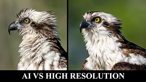 Do You Need A High Resolution Camera? AI VS MEGAPIXELS