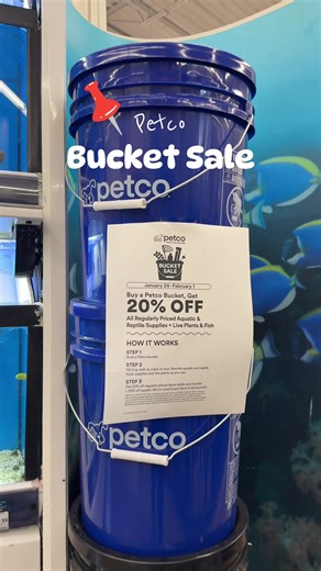 20% off bucket sale @Petco 🪣💰🐠 Here’s everything we snagged 🤗❤️ #petco #bucketsale #fishsupplies #sale #petcosale