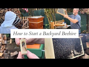 How to start a backyard beehive 🐝how to hive bees for beginners