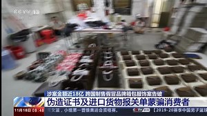 涉案金额近18亿 跨国制售假冒品牌箱包服饰案告破：伪造证书及进口货物报关单蒙骗消费者