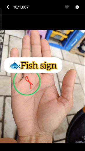 Interpreting the Fish Sign on Your Sun Mount