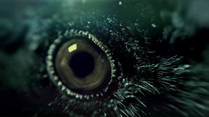 HERE'S TO FATE / THRUDARK